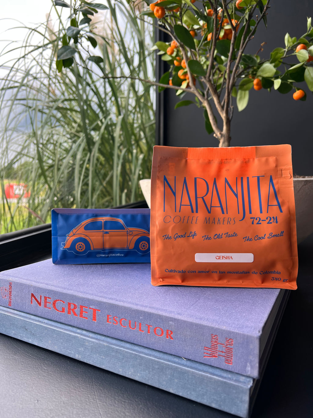 Café Geisha Lavado Orgánico. San Agustín - Huila - Colombia.